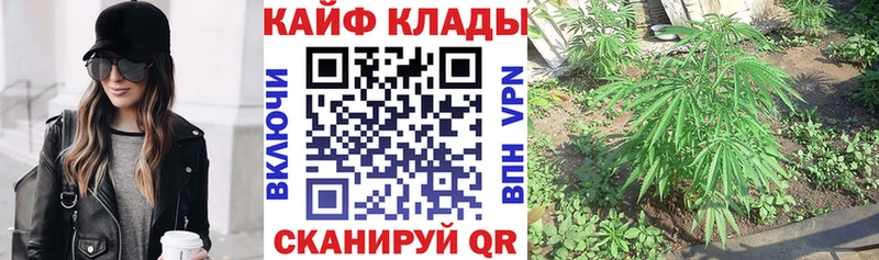 Купить закладку Лодейное Поле Alpha-PVP  Галлюциногенные грибы  ГАШ  Марихуана  Экстази  COCAIN 