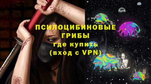 дурь Алексин
