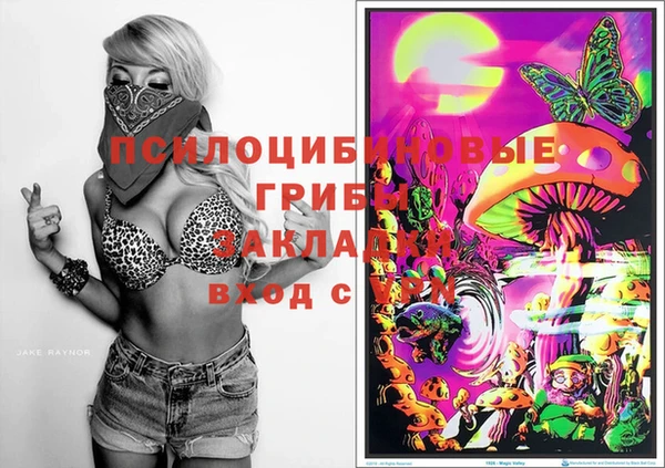 ECSTASY Алексеевка