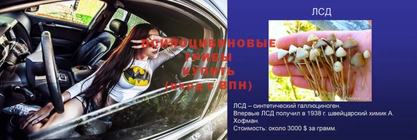 прущая мука Покров